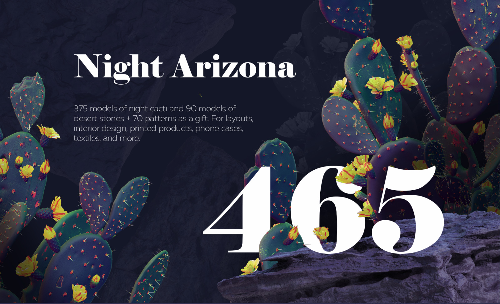 Night Arizona #02, 465 cactus and rock mockups + 70 patterns