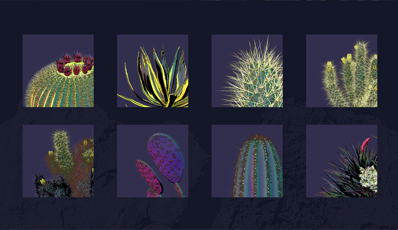 Night Arizona #02, 465 cactus and rock mockups + 70 patterns