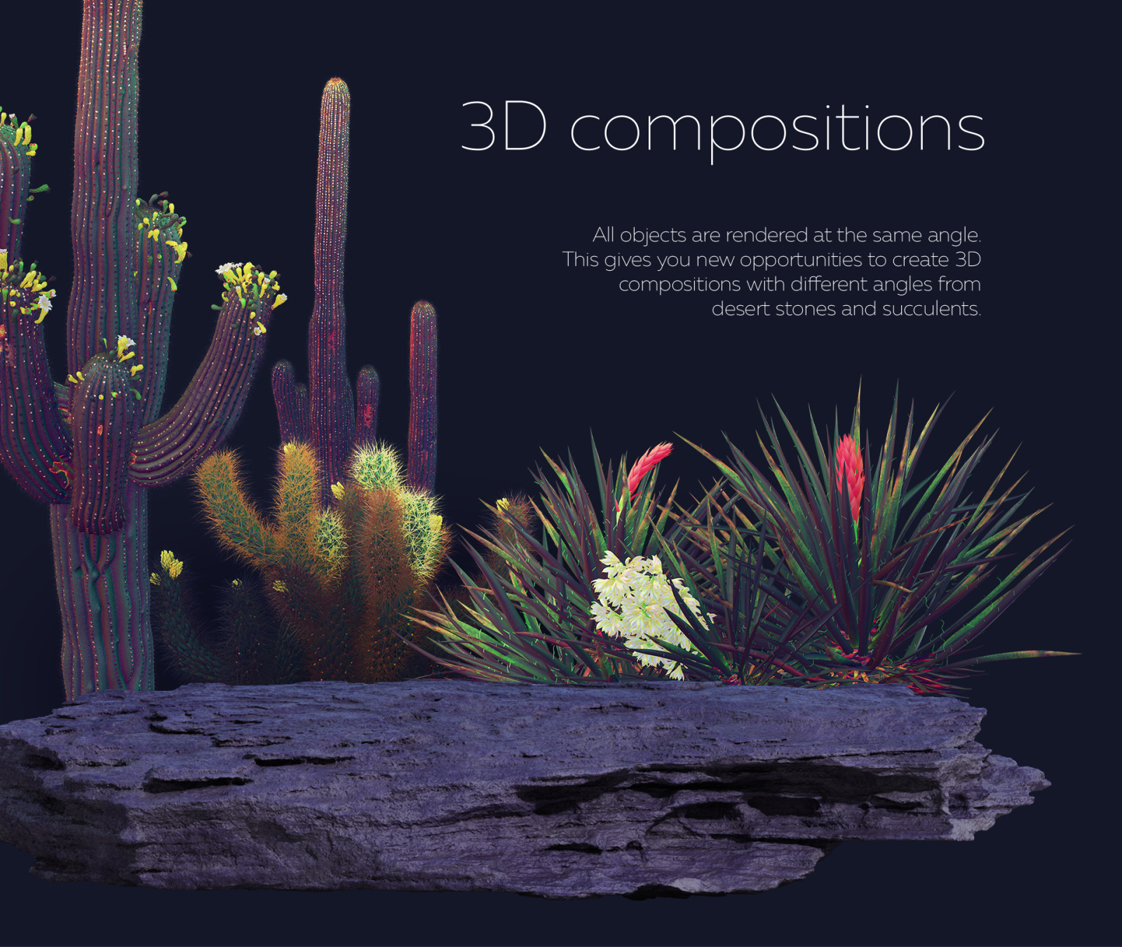 Night Arizona #02, 465 cactus and rock mockups + 70 patterns Night Arizona #02, 465 cactus and rock mockups + 70 patterns