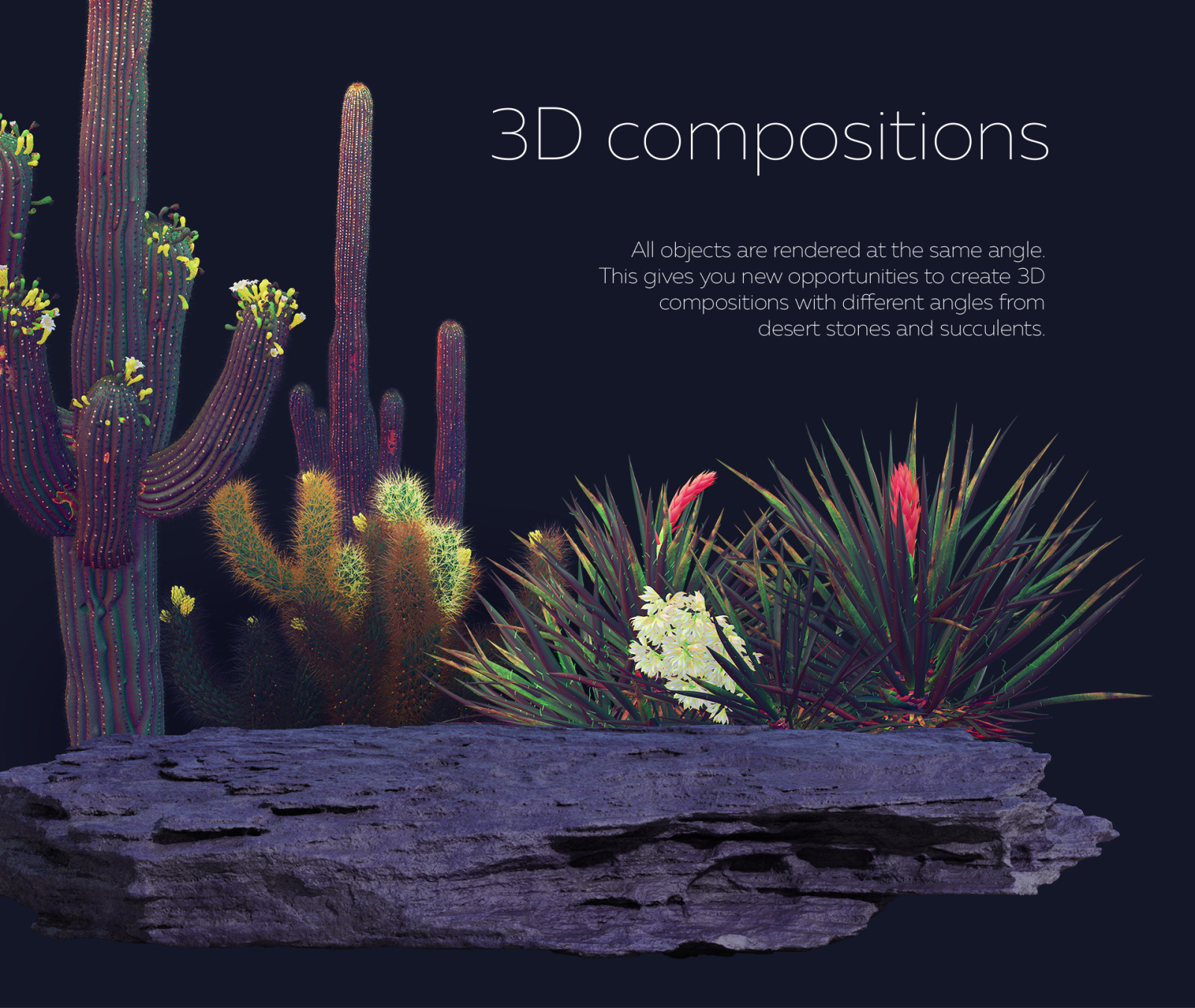 Night Arizona #02, 465 cactus and rock mockups + 70 patterns