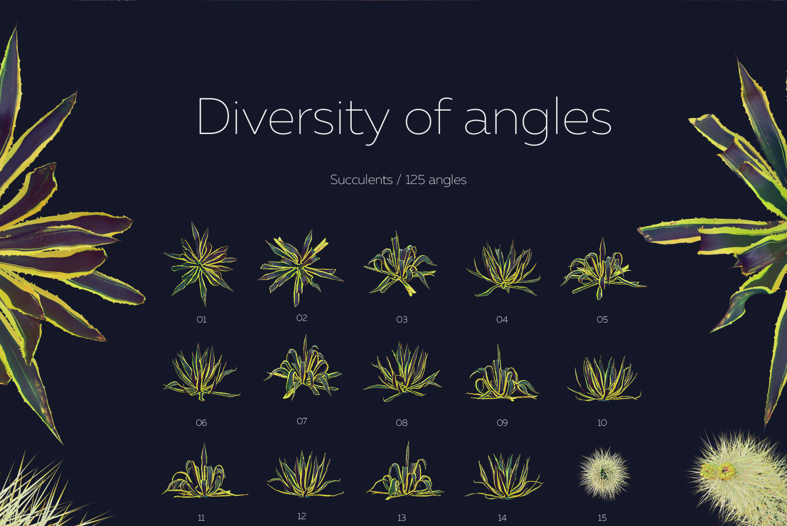Night Arizona #02, 465 cactus and rock mockups + 70 patterns Night Arizona #02, 465 cactus and rock mockups + 70 patterns