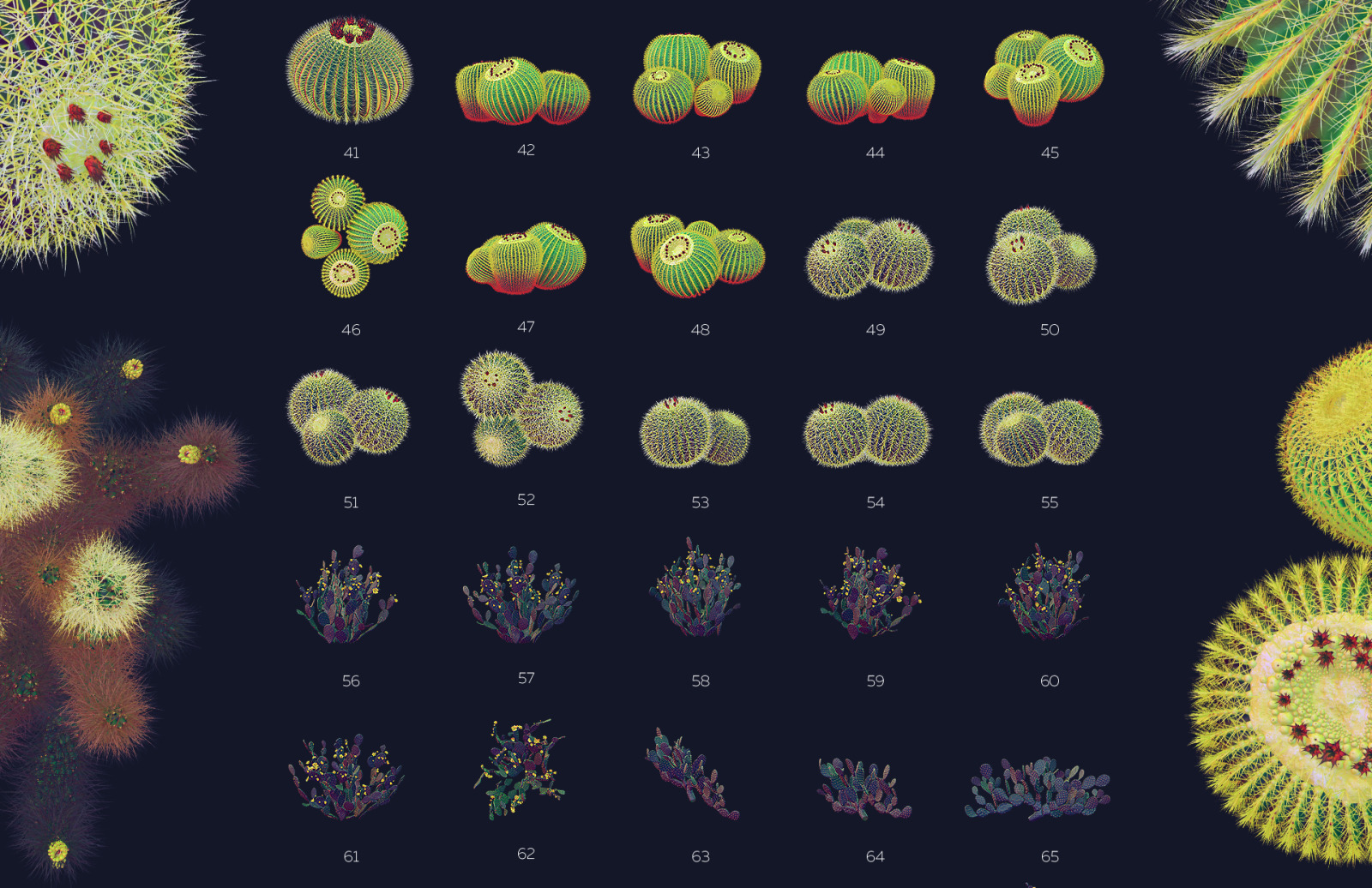 Night Arizona #02, 465 cactus and rock mockups + 70 patterns Night Arizona #02, 465 cactus and rock mockups + 70 patterns