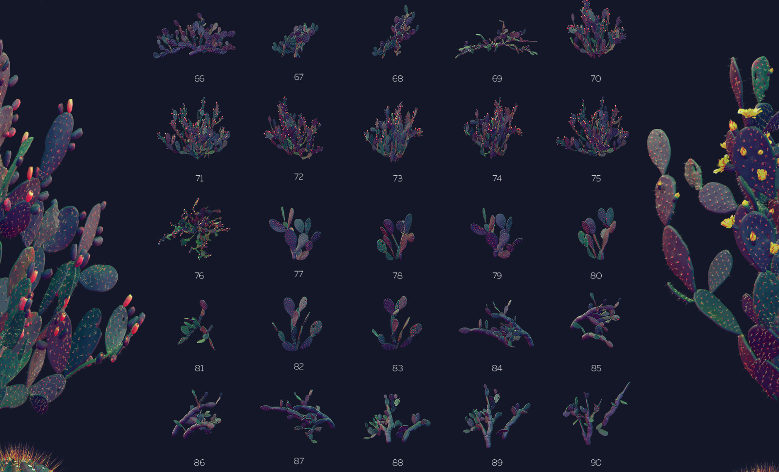 Night Arizona #02, 465 cactus and rock mockups + 70 patterns Night Arizona #02, 465 cactus and rock mockups + 70 patterns