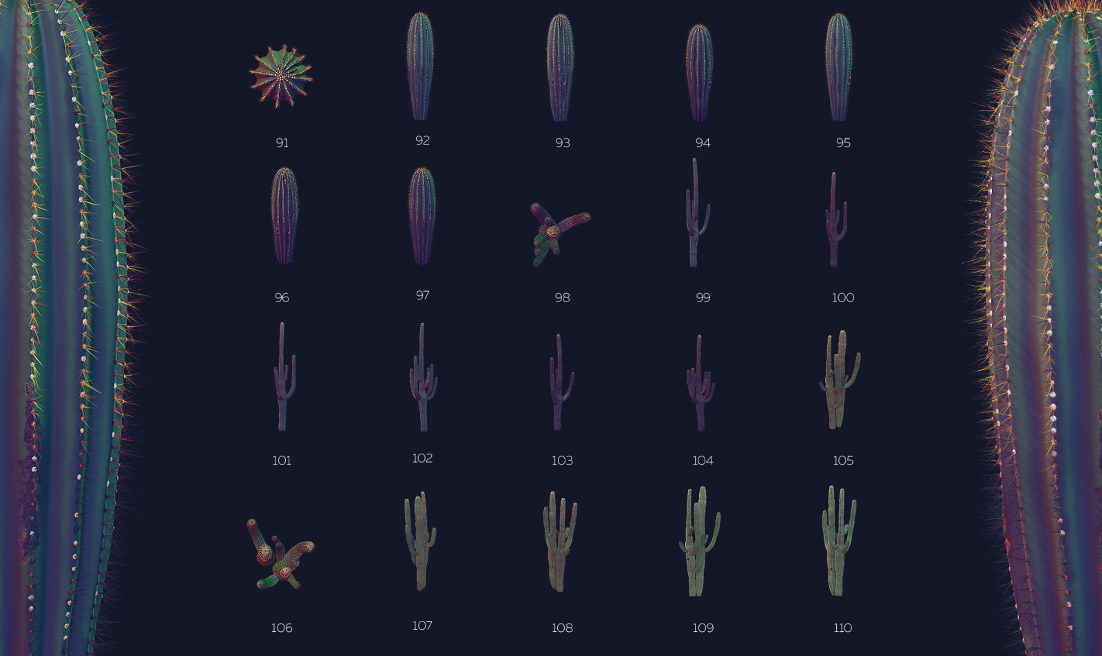 Night Arizona #02, 465 cactus and rock mockups + 70 patterns