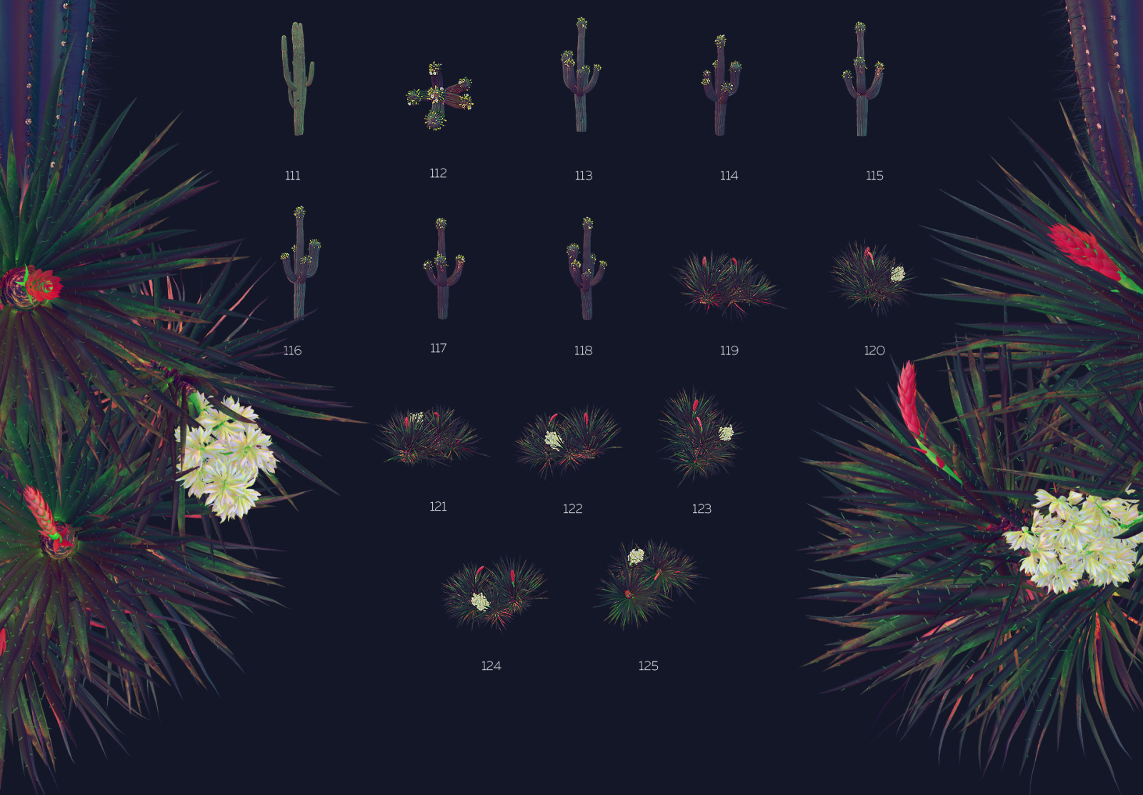 Night Arizona #02, 465 cactus and rock mockups + 70 patterns