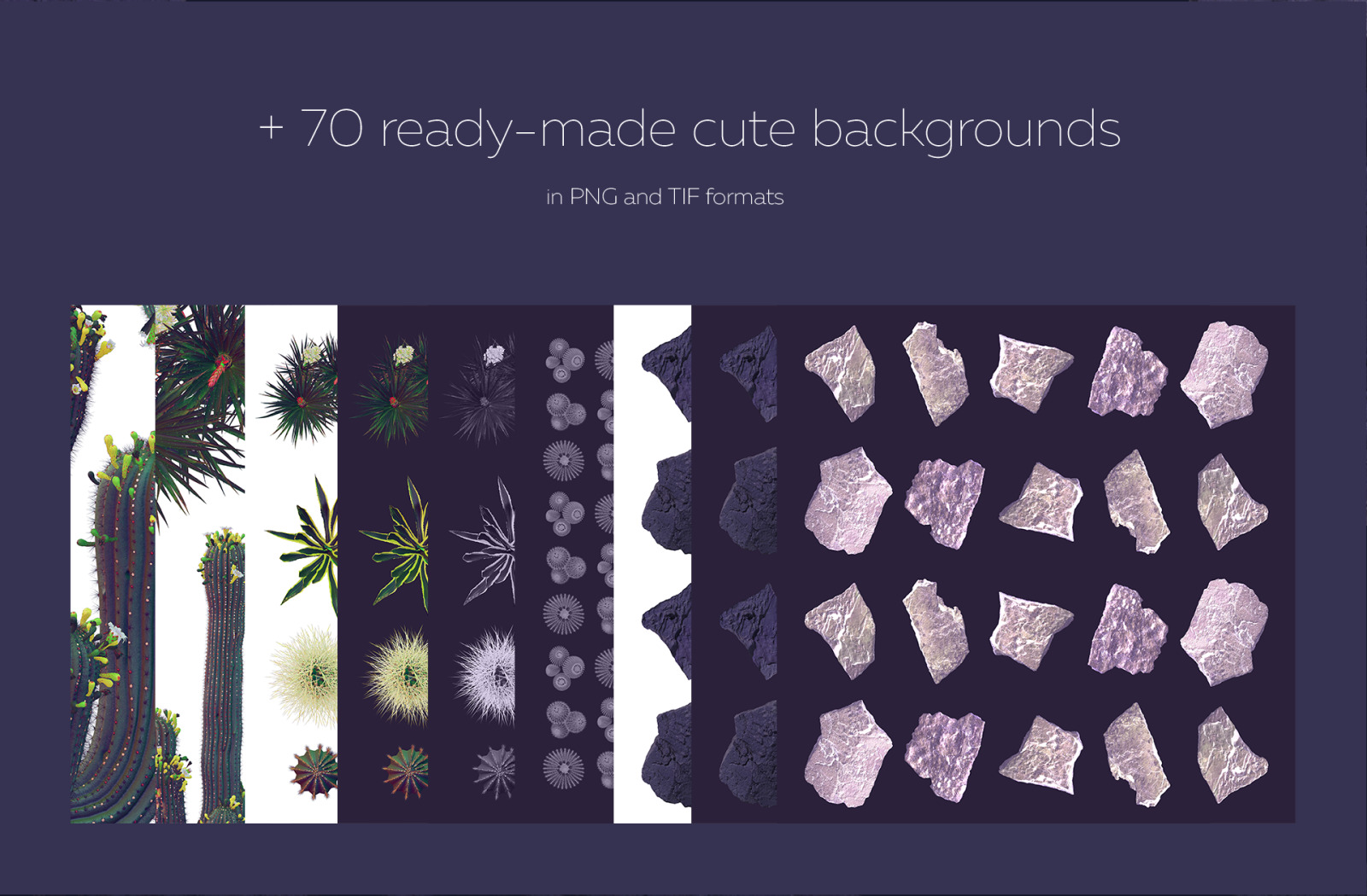 Night Arizona #02, 465 cactus and rock mockups + 70 patterns