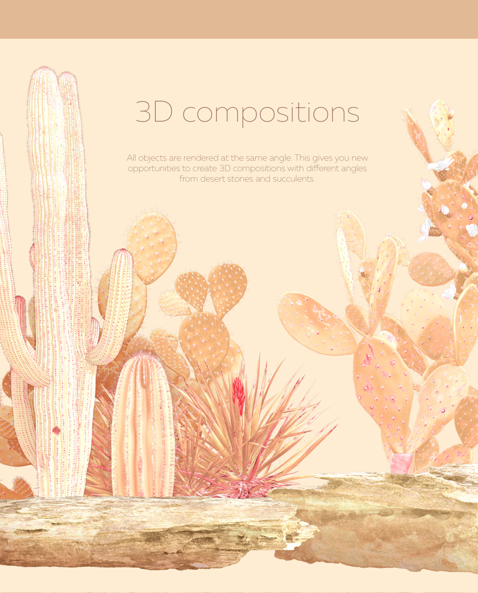 Gold of the desert #01, 155 cactus and rock mockups + 30 patterns