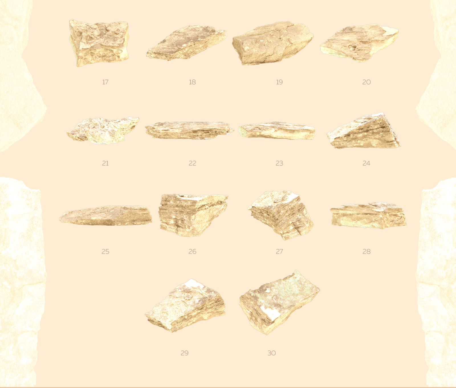 Gold of the desert #01, 155 cactus and rock mockups + 30 patterns