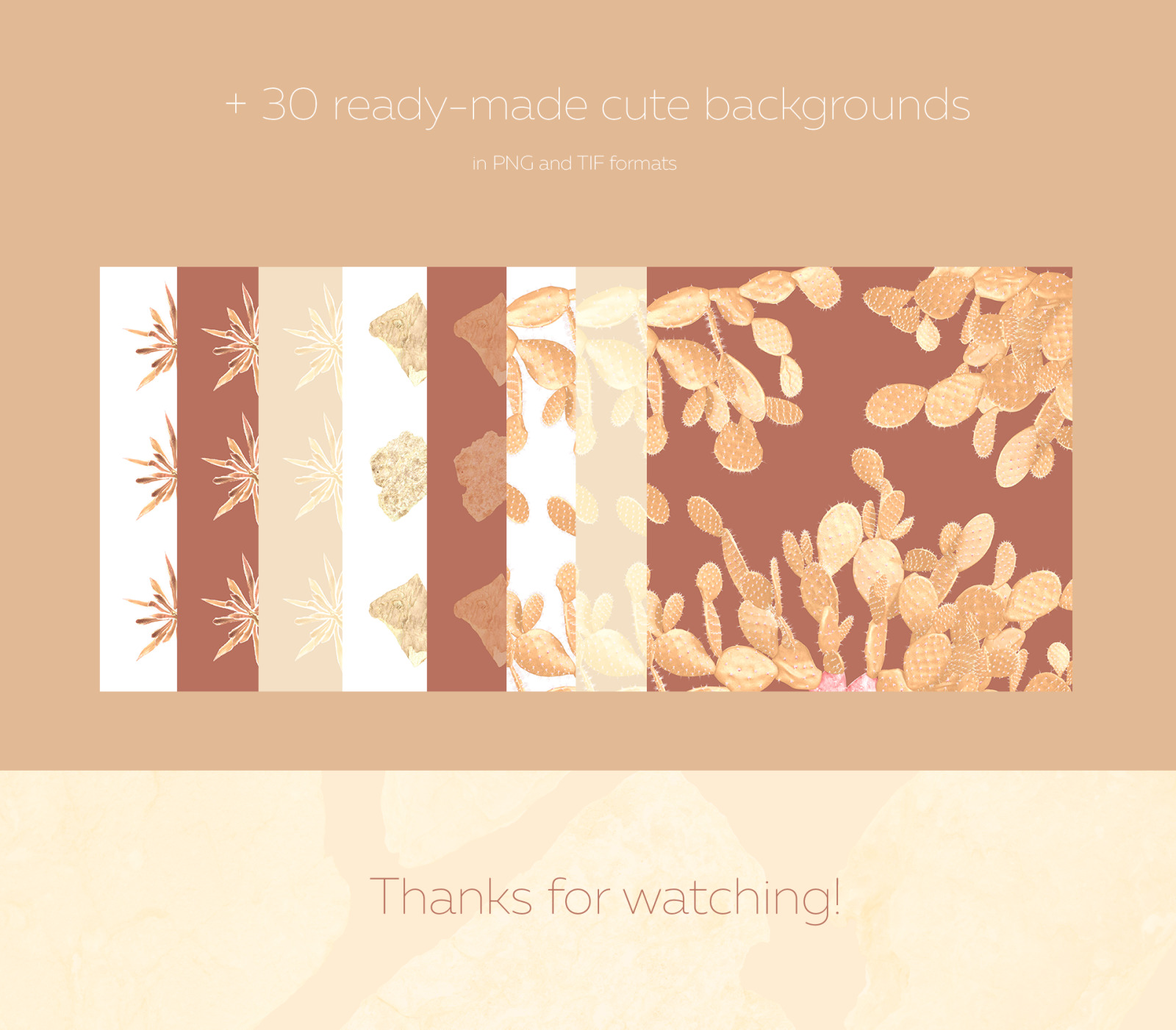 Gold of the desert #01, 155 cactus and rock mockups + 30 patterns