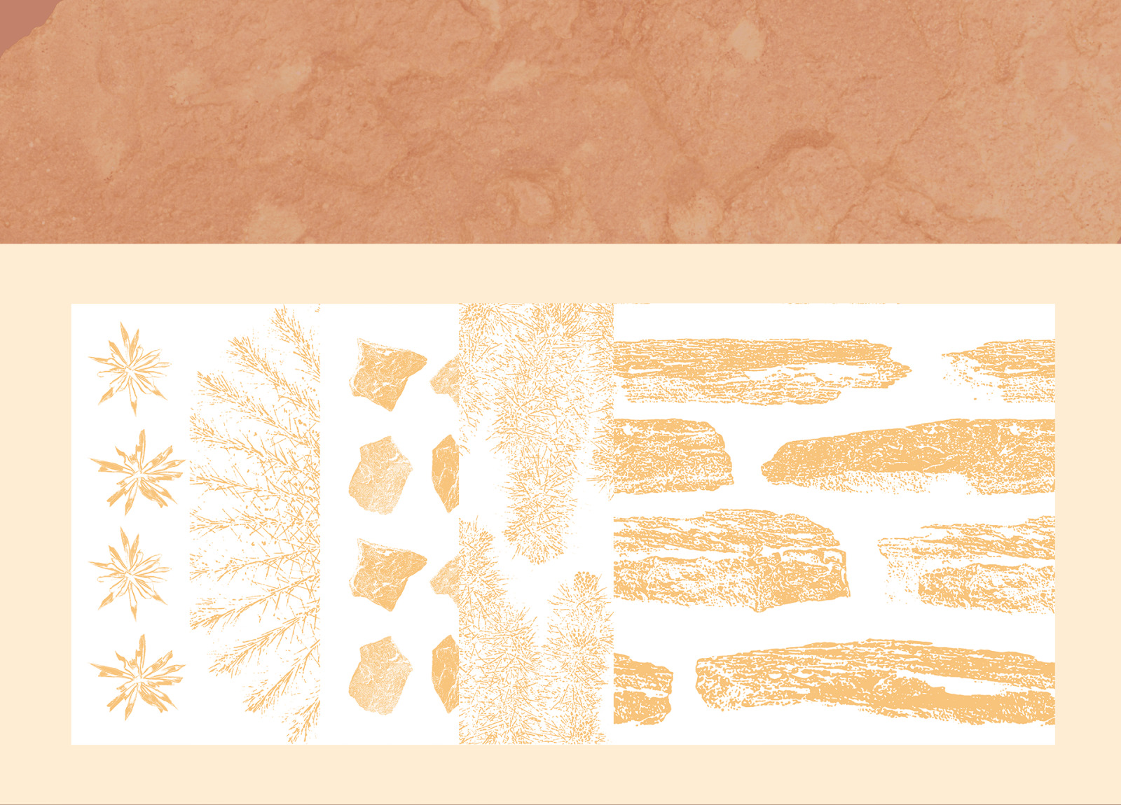 Gold of the desert #02, 310 cactus and rock mockups + 50 patterns Gold of the desert #02, 310 cactus and rock mockups + 50 patterns