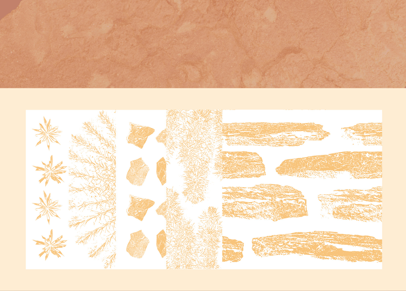 Gold of the desert #02, 310 cactus and rock mockups + 50 patterns