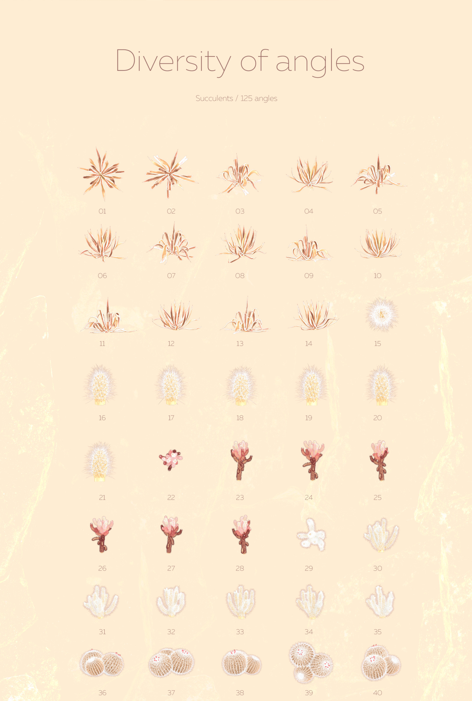 Gold of the desert #02, 310 cactus and rock mockups + 50 patterns