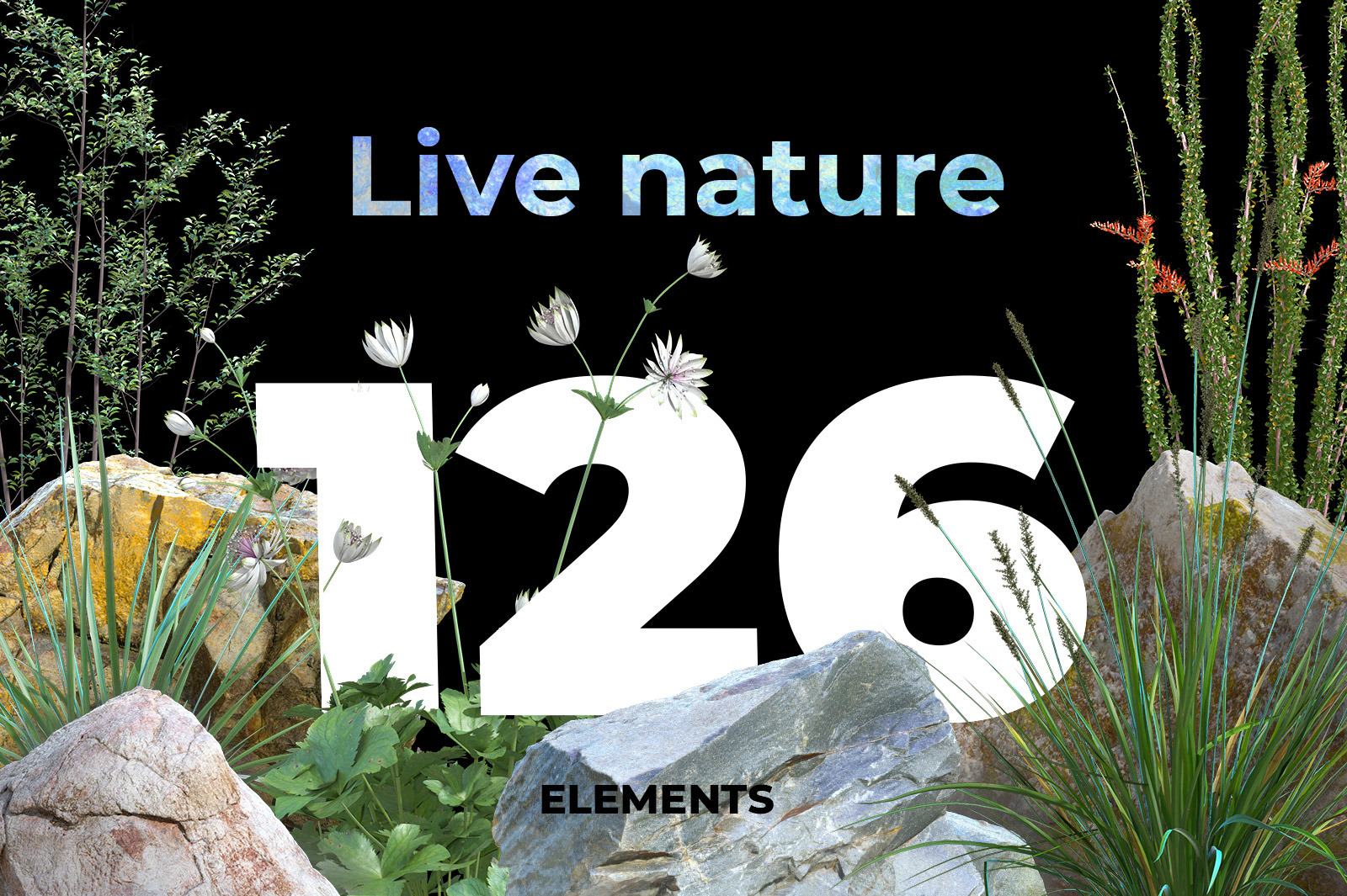 Live nature collection #02 Live nature collection #02