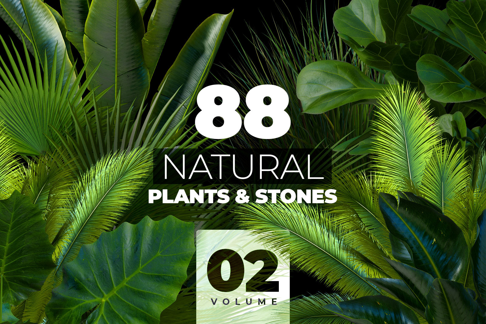 NATURAL plants & stones collection #02 NATURAL plants & stones collection #02