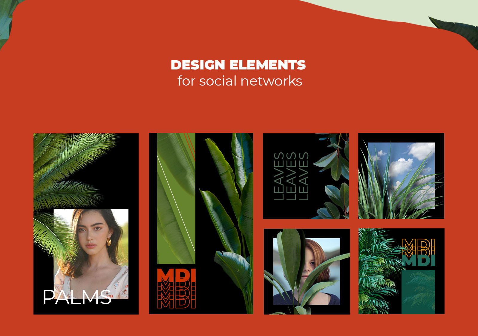 NATURAL plants & stones collection #02 NATURAL plants & stones collection #02