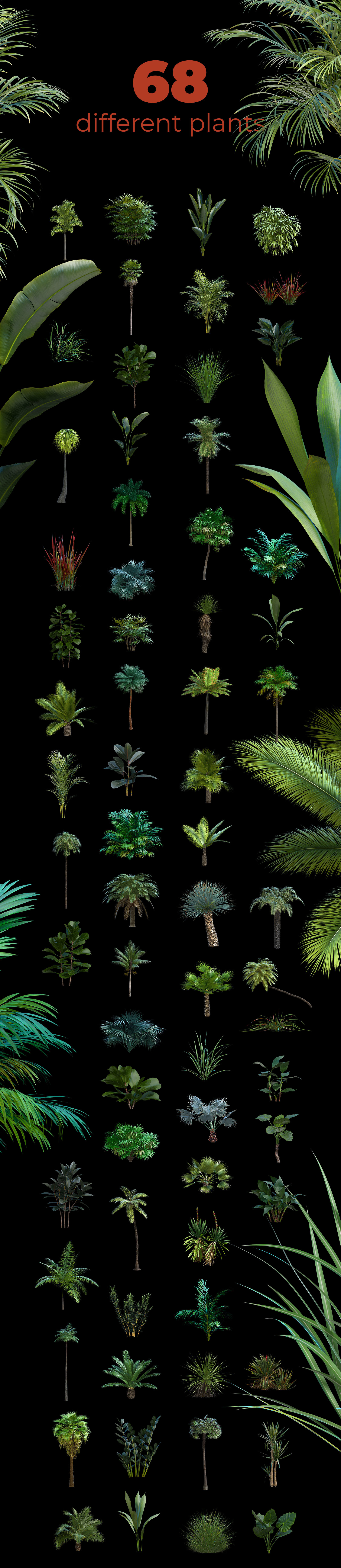 NATURAL plants & stones collection #02 NATURAL plants & stones collection #02