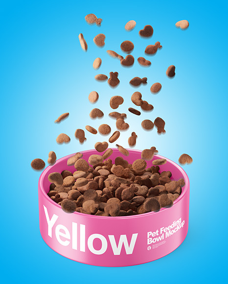 Pet Feeding Bowl Mockup