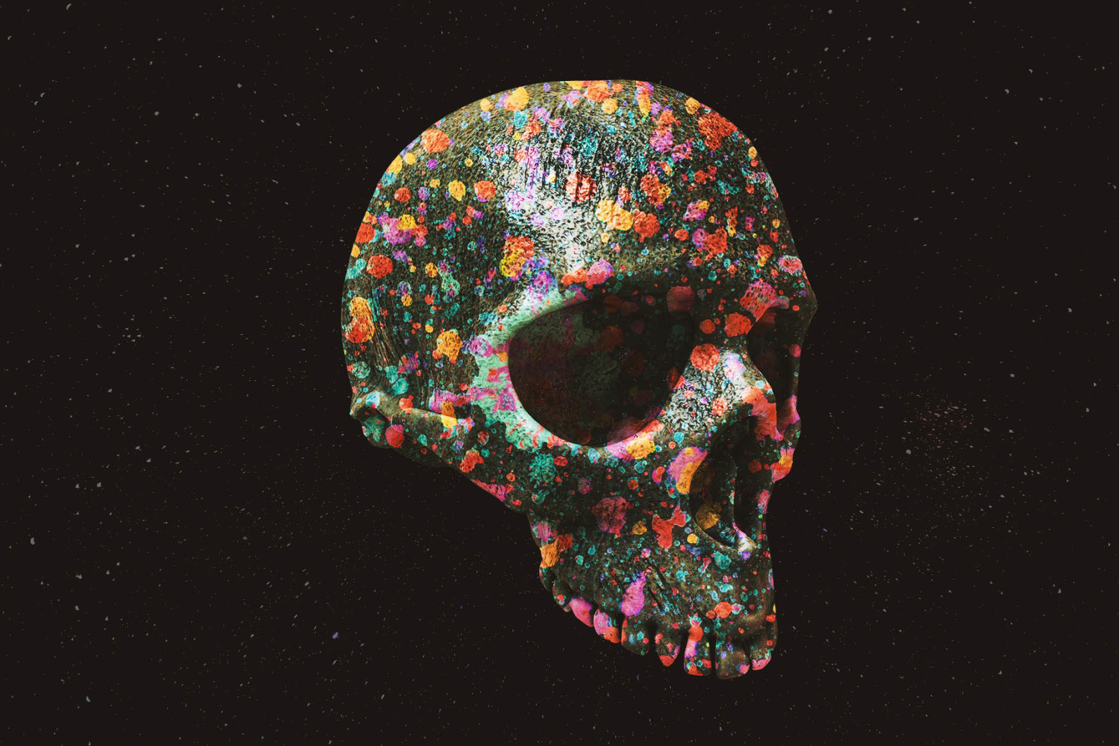 108 Skulls 108 Skulls